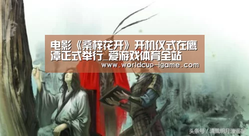 体育手机端APP