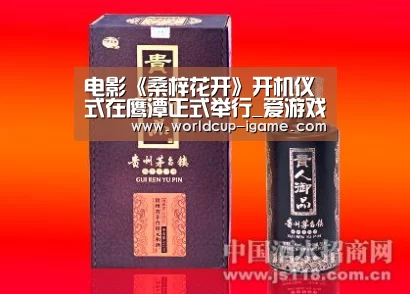 体育手机端APP