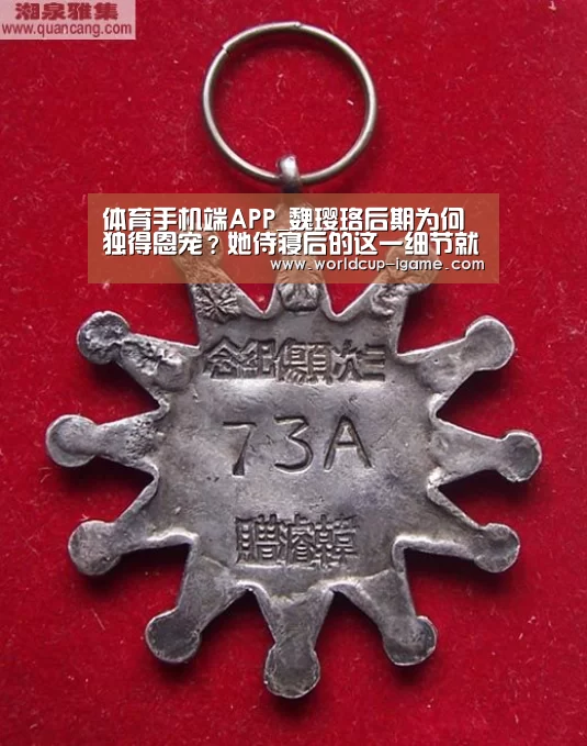 体育手机端APP