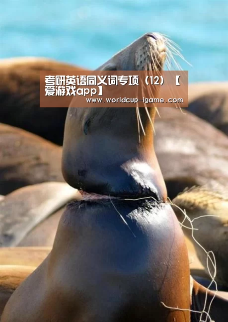 考研英语同义词专项(12)【爱游戏app】(图1) 爱游戏app