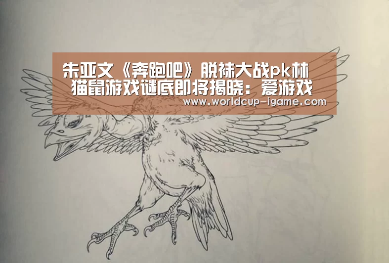 朱亚文《奔跑吧》脱袜大战pk林峯 猫鼠游戏谜底即将揭晓:爱游戏棋牌(图2) 爱游戏app