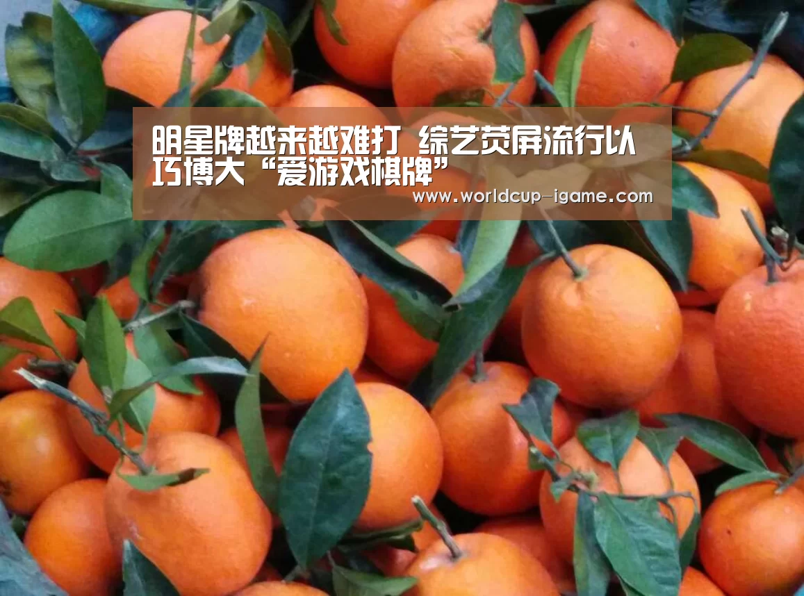 明星牌越来越难打 综艺荧屏流行以巧博大“爱游戏棋牌”(图2) 体育手机端APP