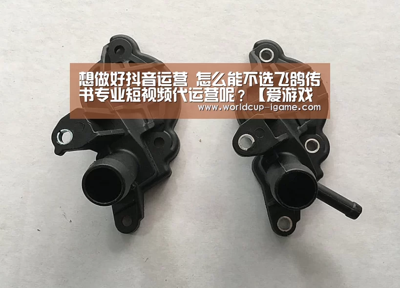 想做好抖音运营 怎么能不选飞鸽传书专业短视频代运营呢?【爱游戏app】(图2) 爱游戏app