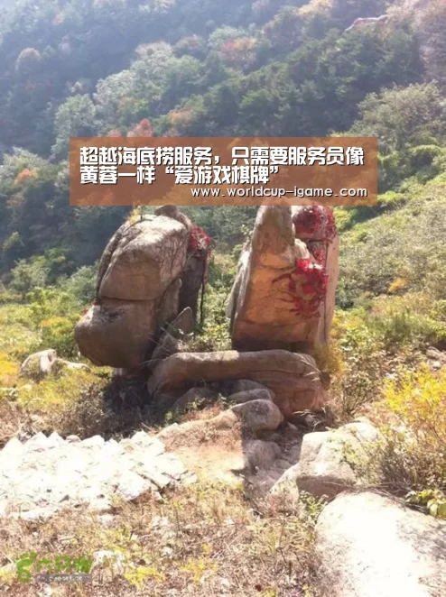 超越海底捞服务,只需要服务员像黄蓉一样“爱游戏棋牌”(图2) 体育手机端APP