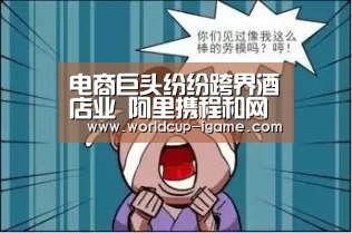 电商巨头纷纷跨界酒店业 阿里携程和网易各自有着怎样的逻辑?‘爱游戏棋牌’(图2) 体育手机端APP